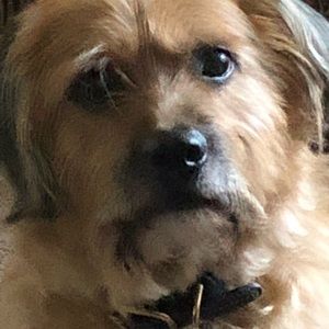 Meet your Posher, Patricia